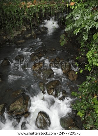 a view at the river. slows shutter. 