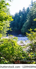 View of a river stream through the tree branches taken in Shallow Falls State Park, Mayland USA