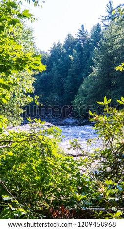 View of a river stream through the tree branches taken in Shallow Falls State Park, Mayland USA