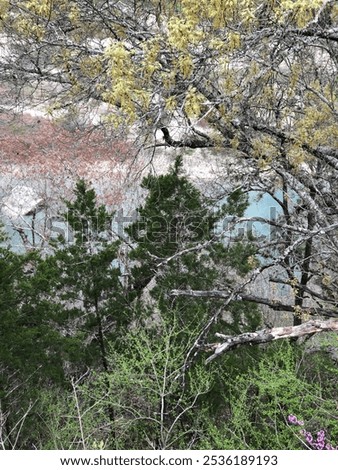 View of river through trees