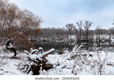 View of the river and trees after snowfall in the forest. Forest in the snow on the riverbank and reflection of trees in the water.