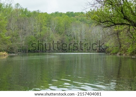 A view of the river and trees in Patapsco Valley State Park in Baltimore, Maryland