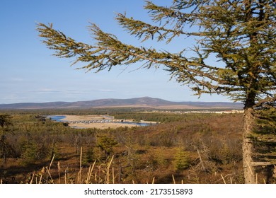 View of the river valley and the road bridge across the river. Larch in the foreground. In the distance is the village of Ola. Ola River, Olsky District, Magadan Region, Siberia, Russian Far East.