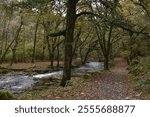 a view of the river Walkham in Devon headed towards double waters where it will meet the river Tavy