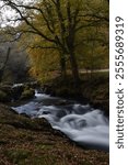 a view of the river Walkham in Devon headed towards double waters where it will meet the river Tavy