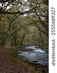 a view of the river Walkham in Devon headed towards double waters where it will meet the river Tavy