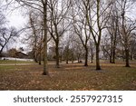 View of Riverdale Park in Toronto.