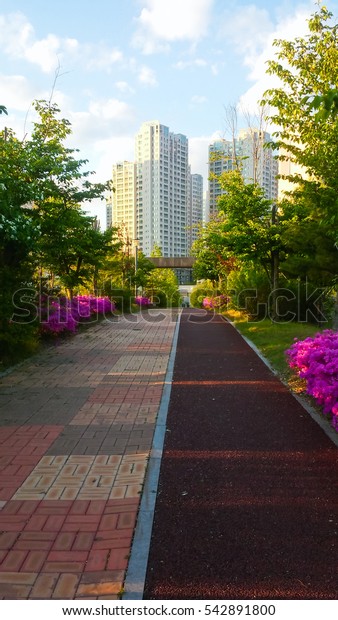 A view of Road to the apartment\
building in Korea / Road to the apartment\
building