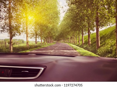 View of the road and forest through the windshield of the car Su