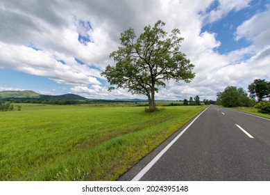 View Of A Road In Perspective In Summer In Essex County New York 