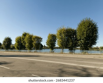 A view of a road with trees on both sides of it.