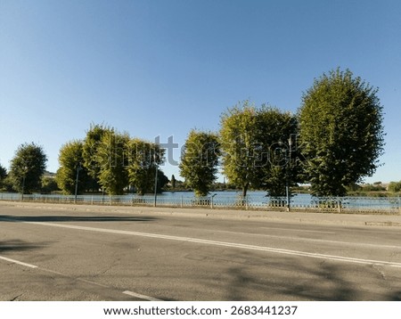 A view of a road with trees on both sides of it.