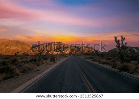 View from road trip with Joshua trees national park at sunset landscape around. California, USA