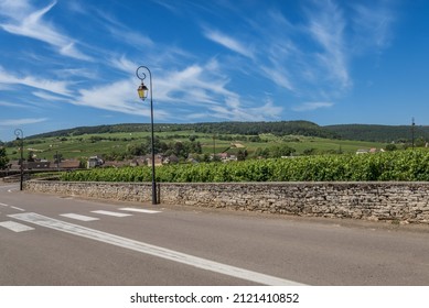 View To The Road And Vineyard In Burgundy Bourgogne Home Of Pinot Noir And Chardonnay In Summer Day With Blue Sky. Cote D'Or