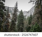 View of rocky cliffs in Bridger Mountain range by Bozeman Montana in summer