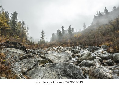 View Of A Rocky Mountain River In The Misty Autumn Forest. Colors Of Nature.