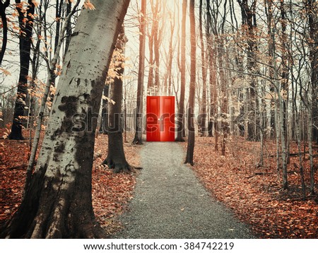 A view of a rocky path trail in the fall forest with bare trees of a glowing red door for a freedom, risk or decision conceptual concept.
