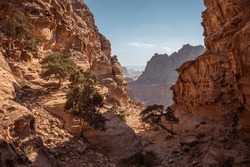 View Of Rocky Sandstone Canyon In Jordanian Petra. Middle East Scenery Of Outdoor Landscape. Spectacular Stony Cliffs In Jordan.