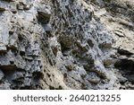 View of rocky sedimentary rocks in the Chegem Gorge in the summer in the mountains of the North Caucasus                               