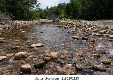View of a rocky stream bed in the middle of the White Mountain National Forest during late spring. The clear waters and stoney bed support many varieties of animal life throughout the year.  - Powered by Shutterstock
