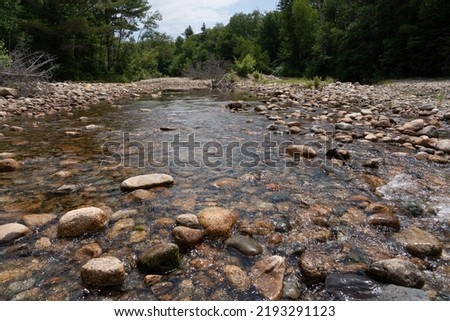 View of a rocky stream bed in the middle of the White Mountain National Forest during late spring. The clear waters and stoney bed support many varieties of animal life throughout the year. 