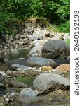 View of rocky and water river with boulders shrub and woody vegetation in Chegem Gorge in the summer in the mountains of the North Caucasus                               