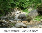 View of a rocky and water river with large boulders with shrubs and trees in the Chegem Gorge in the summer in the mountains of the North Caucasus                               
