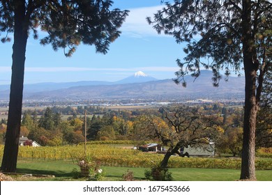 View Of The Rogue Valley