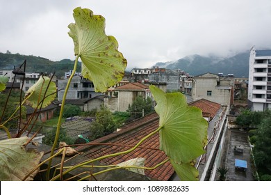 View from a roof top garden in small town Dagui in Northern China, Shaanxi Province. A glimpse into rural China.  