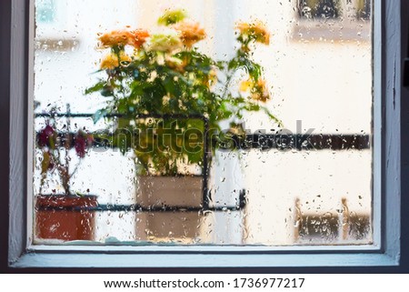 Similar – Image, Stock Photo Flower pots and cacti on one table