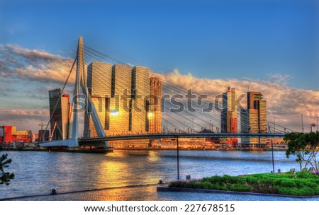 View of Rotterdam - Netherlands