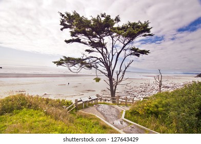 A View From Ruby Beach