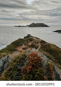 View from a rugged coastal path overlooking the sea with iceberg