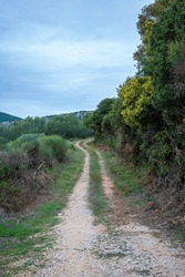 View Rural Road In The Forest, Dirt Road Or Mud Road And Rain Forest,  View Road In Nature, Ecosystem And Healthy Environment