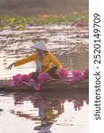 view of rural Vietnamese girl in Moc Hoa district, Long An province, Mekong Delta are harvesting water lilies. Water lily is a traditional dish here. Travel and landscape concept