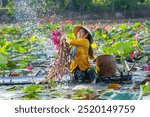 view of rural Vietnamese girl in Moc Hoa district, Long An province, Mekong Delta are harvesting water lilies. Water lily is a traditional dish here. Travel and landscape concept