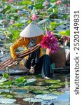 view of rural Vietnamese girl in Moc Hoa district, Long An province, Mekong Delta are harvesting water lilies. Water lily is a traditional dish here. Travel and landscape concept