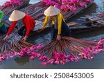 view of rural women in Moc Hoa district, Long An province, Mekong Delta are harvesting water lilies. Water lily is a traditional dish here. Travel and landscape concept