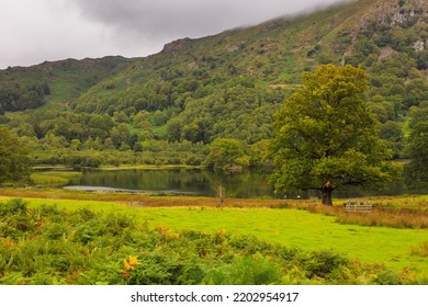 View Of The Rydal Water Area With, Lake In The Central Part Of The English Lake District, Between Grasmere And Ambleside In The Rothay Valley. UK.