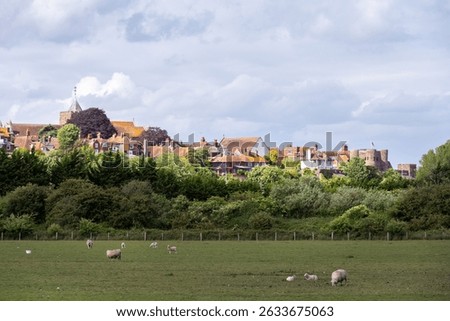 View of Rye in spring with its castle (Ypres Tower) and St Mary's church tower, East Sussex, England