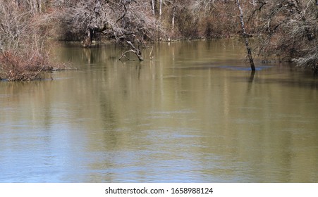 A View Of The Sabine River, Mineola, TX/USA (Feb. 28, 2020)