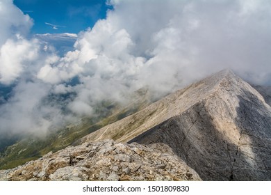 View From The Saddle 