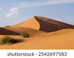 View of Sahara Desert in Morocco, Africa. The Sahara Desert is the world