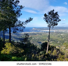 View Of San Antonio, Ibiza