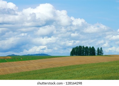 View From Sanai No Oka In Hokkaido In Summer