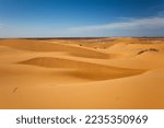 View of sand dunes in the Sonora Desert