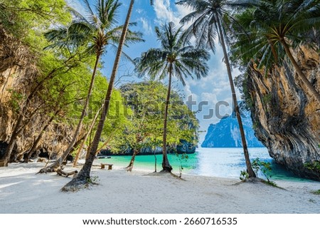 The view of the sandy beach with coconut trees growing along the beach is a beautiful view Lao Lading beach island in Krabi Province , Famous place of South Thailand Asia 