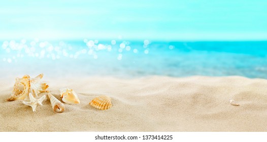 View of the sandy beach. Shells in the sand. - Shutterstock ID 1373414225