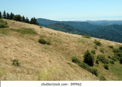 View Of Santa Cruz Mountains From California Highway 9