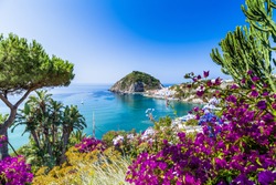 A View Of Sant'Angelo In Ischia Island In Italy: Tyrrhenian Sea, Bougainvillea Glabra, Rocks,  Water, Umbrella, Sand And Typical Houses In The Island In Front Of Naples, Campania Region In A Sunny Day